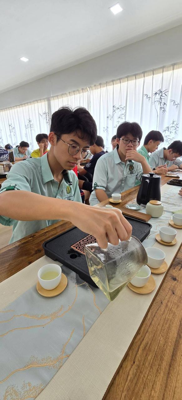 【一盏清茶，一片匠心 🍃】
